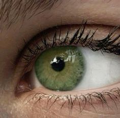 Pretty Green Eyes Aesthetic, Wyatt Core, Pale Green Eyes Aesthetic, Sea Green Eyes Aesthetic, Gray Green Eyes Aesthetic, Olive Eyes, Green Iris Eye, Grey Eyes, Eyes Color