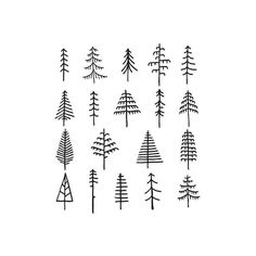 the trees are drawn in black and white on a white background, as well as an outline