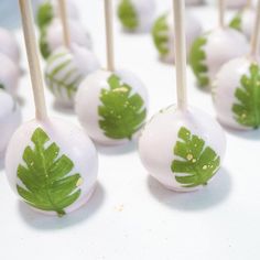 there are many green leaves on the lollipops