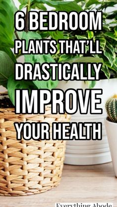 a basket filled with plants next to a potted plant and the words 6 bedroom plants that'll dramatically improve your health