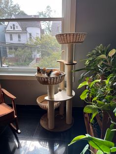 a cat sitting on top of a scratching tower next to a window