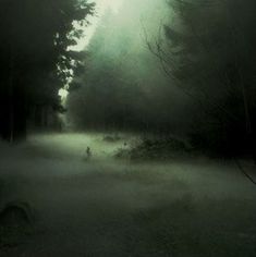 a foggy forest filled with lots of trees and animals walking on the ground at night