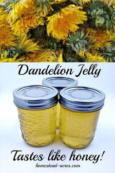 three jars filled with yellow flowers and the words dandelion jelly tastes like honey