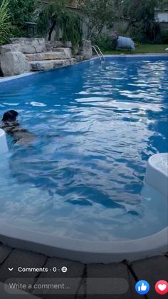 a dog is swimming in the pool with his head above the water's surface