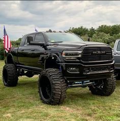 a large black truck parked on top of a lush green field