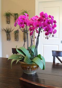 purple orchids in a vase on a wooden table