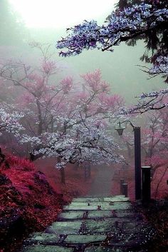 a path in the middle of a forest with trees and flowers on both sides, surrounded by fog