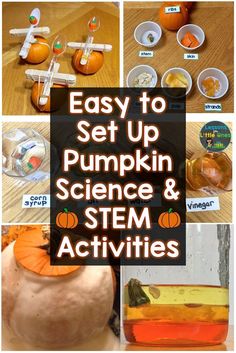 Pumpkin Launcher, Code Puzzles, Pumpkin Science Experiment, Pumpkin Activities Preschool, Fall Stem Activities, Pumpkin Investigation, Pumpkin Lessons, Halloween Stem Activities, Pumpkins Preschool