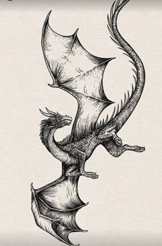 a black and white drawing of a dragon flying through the air with its wings spread