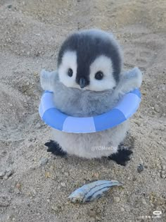 a small penguin with a blue ring around its neck