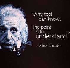 albert einstein quote about the point is to understand