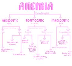 the structure of an animal's body and its major structures, including their names