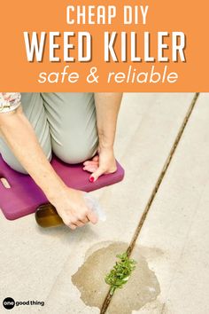 This homemade weed killer gets quick results, safely -- with nothing more than vinegar, salt, and dish soap! Kill Weeds With Vinegar, Kill Weeds Naturally, Mobile Tower, Kill Weeds, Wild Onions, Organic Mulch, Garden Weeds, Big Plants