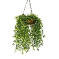 a hanging planter filled with lots of green plants