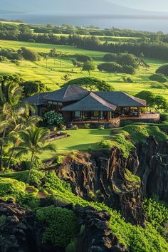 an aerial view of a house on the edge of a cliff with lush green grass and palm trees