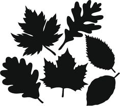 black silhouettes of leaves on white background - csp871604