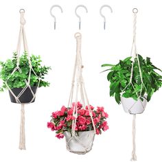 three hanging planters with flowers in them, one is white and the other is pink