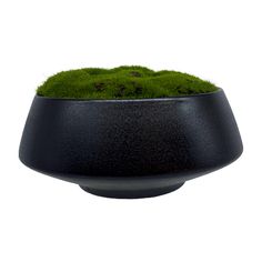 a black bowl with green moss in it