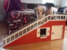 two dogs sitting on top of a dog house made out of red and white cardboard