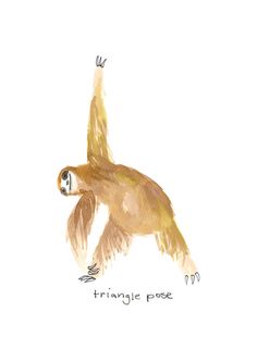 a watercolor drawing of a monkey with the words triangle pose on it's back