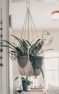 a potted plant hanging from a rope in a living room