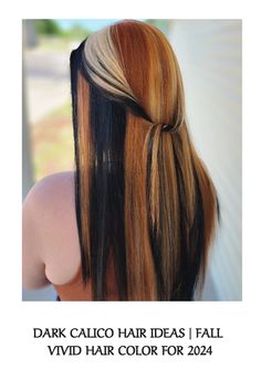 Hair Color Ideas Vivid, Subtle Calico Hair, Calico Hair Color