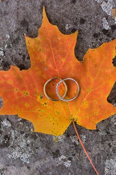 two wedding rings sitting on top of an orange maple leaf