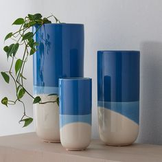 three blue and white vases sitting on top of a shelf next to a plant