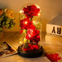 red roses in a glass dome with fairy lights