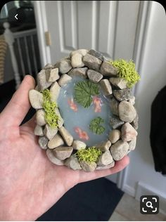 a hand holding a small bowl with rocks and plants in it