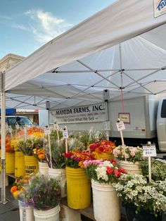 an outdoor market with flowers and plants for sale under a tent on the side of the road