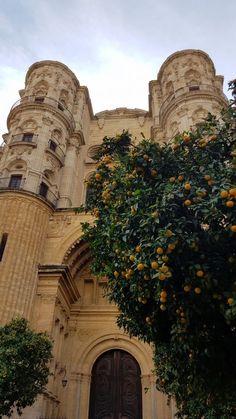 an orange tree is in front of a large castle like building with two towers on each side