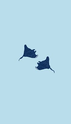 two stingpers flying in the sky on a blue background