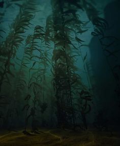 an underwater scene with seaweed in the foreground