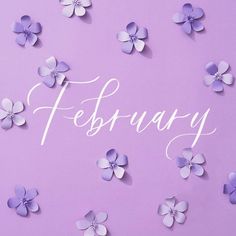 purple flowers with the word february written in white on a lila background, surrounded by paper butterflies