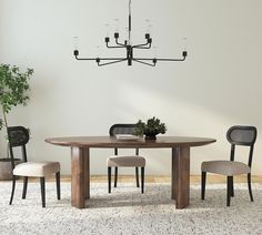 a dining room table with chairs and a potted plant