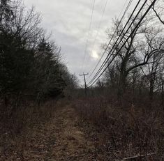 a dirt road surrounded by trees and power lines