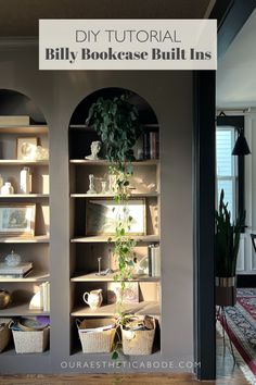 a bookcase built into the side of a wall with plants growing out of it