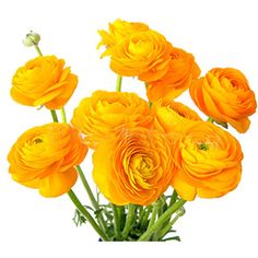 a bunch of yellow flowers in a vase