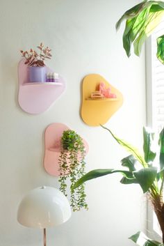 three different colored shelves on the wall next to a potted plant and a lamp