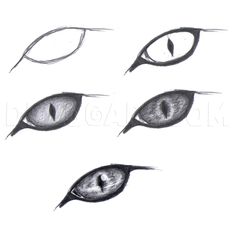 four different types of cat's eyes are shown in this drawing, and one is drawn