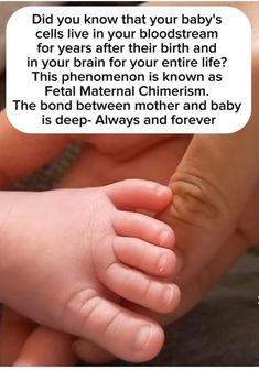 a person holding a baby's foot with the caption did you know that your baby's cells live in your blood stream