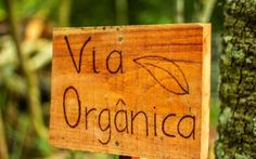 a wooden sign that says vid organica on it in front of a tree