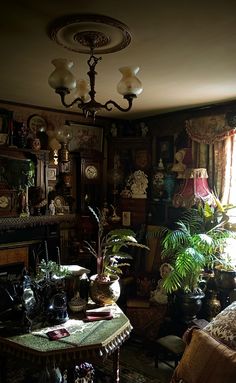 a living room filled with furniture and lots of plants on top of a wooden table