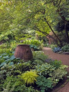 a garden filled with lots of plants and trees