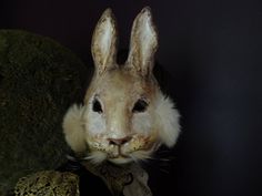 a rabbit sitting on top of a green chair next to a snake in it's mouth