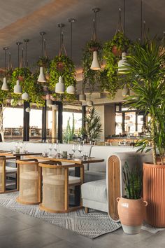 a restaurant with potted plants hanging from the ceiling and wicker chairs around tables