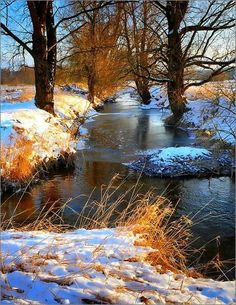 a small stream running through a snow covered forest filled with lots of trees and grass