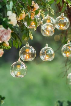 bubbles hanging from a tree filled with flowers