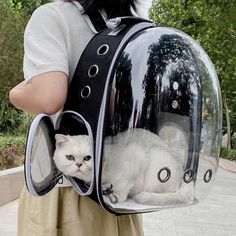 a person with a cat in a backpack